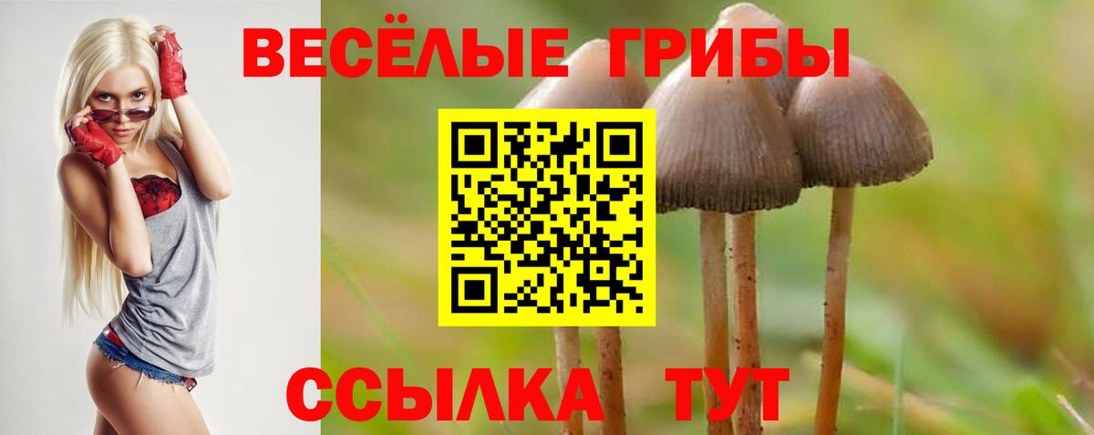 Псилоцибиновые грибы прущие грибы  Псилоцибиновые грибы мухоморы  Шатура  что такое   Вход с VPN 