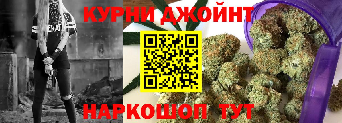 Марихуана гибрид Шатура